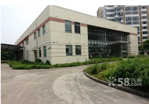 �±�����������