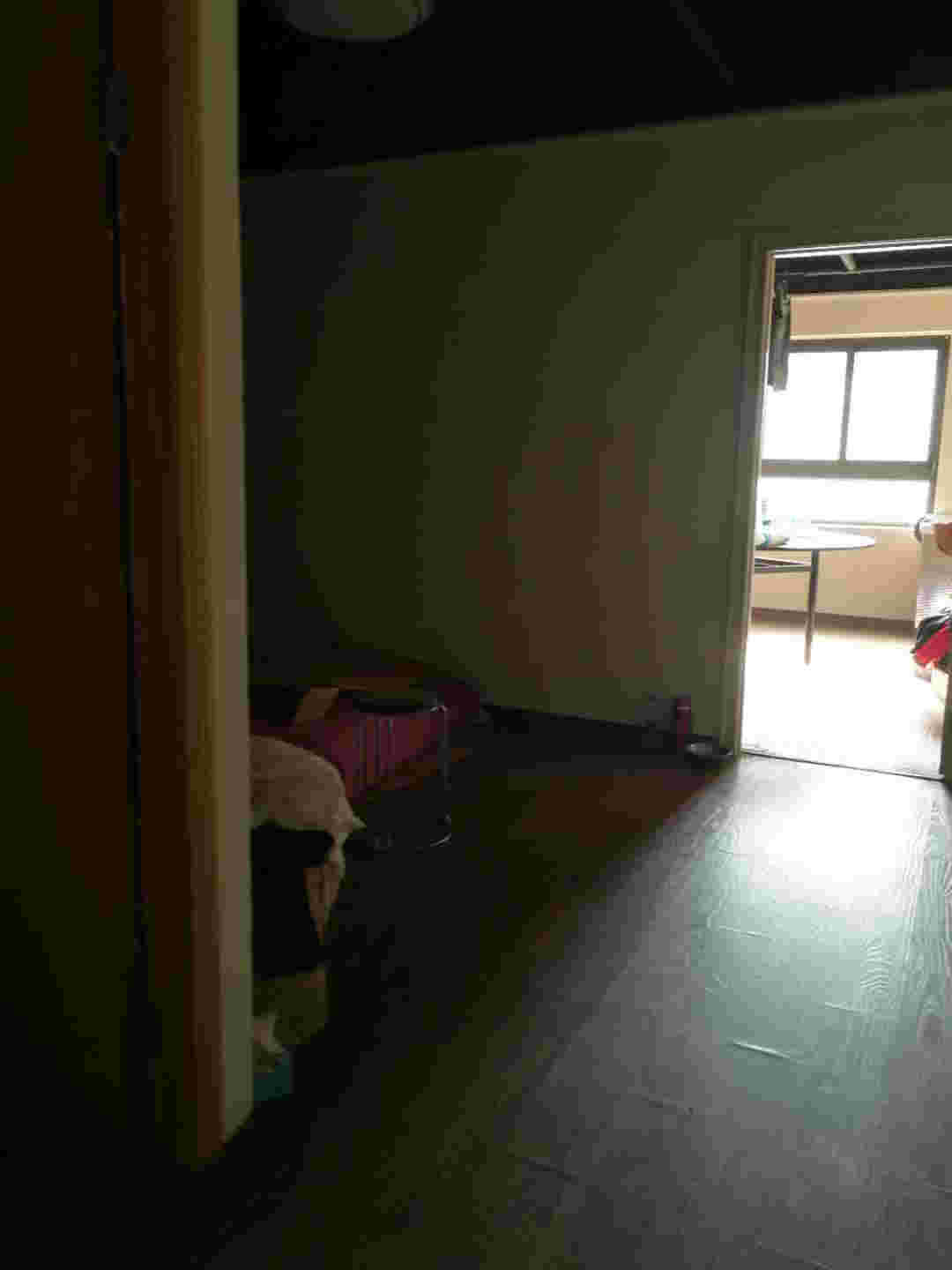 �±�ӯ���͹�ת��  �ѳɽ�