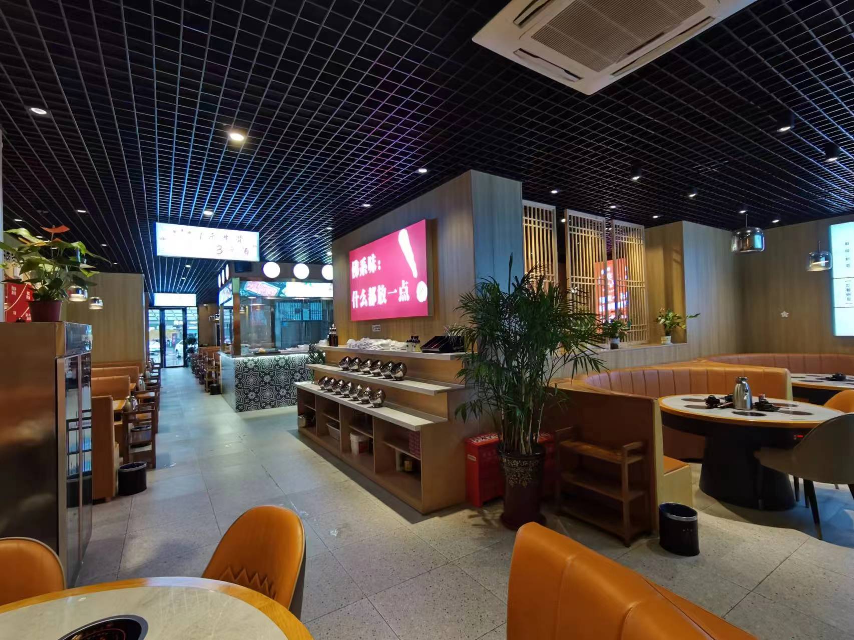 ת ת